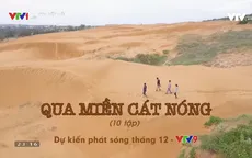Ký sự "Qua miền cát nóng": Sức sống trên những đồi cát nắng cháy miền Trung