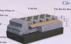 Công nghệ ứng phó với biến đổi khí hậu, bảo vệ môi trường