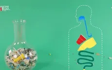 Nhựa đã xâm nhập chuỗi thức ăn của con người