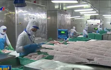 Bộ Nông nghiệp yêu cầu giám sát chặt nuôi cá tra