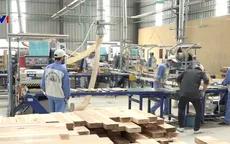 Hiệp định VPA/FLEGT: "Giấy thông hành" cho gỗ Việt vào EU