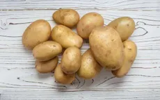 Tại sao không nên để khoai tây trong tủ lạnh?