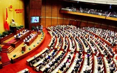 Đại biểu Quốc hội: "Sau mỗi lá đơn là số phận một con người"