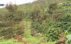 Khánh Hòa: Khởi tố cán bộ xã ăn chặn tiền hỗ trợ khắc phục thiên tai