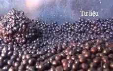 Thị trường nội địa thiếu tiêu chuẩn về cà phê