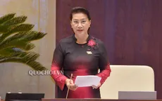 Chủ tịch Quốc hội đề nghị cần xem xét quy định sau vụ đổi 100 USD bị phạt 90 triệu đồng