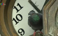 Việc đổi giờ lợi và hại như thế nào đến đời sống của người dân châu Âu?