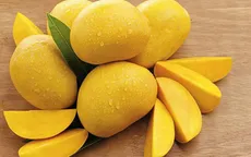 Xoài giúp ích cho điều trị ung thư