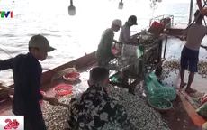 Hải Phòng: Ngao chết hàng loạt do khai thác cát ồ ạt