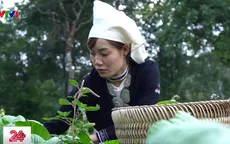 Na Hang - Sản xuất sạch để thu hút du khách