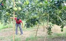 Những bước đột phá mạnh mẽ của ngành nông nghiệp