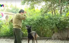Chó nhà cũng cần được huấn luyện để đảm bảo an toàn cho trẻ