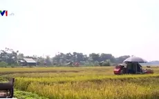 Máy gặt ra đồng bị công an xã cản trở
