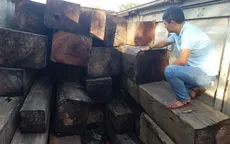 Đăk Lăk: Phát hiện xe tải chở hàng chục m3 gỗ quý