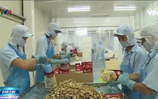 Sản phẩm khô cá tra một nắng hút hàng