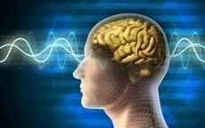 Môi trường có thể thay đổi chỉ số IQ ở cấp độ di truyền