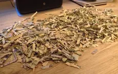 Bé 2 tuổi biến tiền dành dụm của cha mẹ thành... giấy vụn