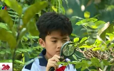 Thú vị lớp học ở Thảo Cầm Viên