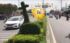 Cần Thơ: Hơn 10 tỷ đồng trang trí đường hoa, người dân không hiểu tiểu cảnh mang hình dáng gì