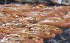 Ngư dân miền Trung vào mùa nướng cá