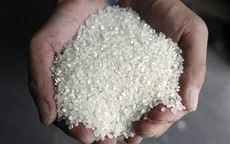 Sản lượng gạo Hàn Quốc thấp nhất trong gần 40 năm