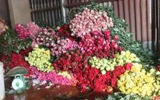 Chưa đến Ngày Nhà giáo Việt Nam 20/11, giá hoa hồng đã tăng mạnh