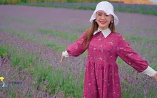 Cùng Đào của "Quỳnh búp bê" check in cánh đồng hoa oải hương "gây sốt" ở Đà Lạt