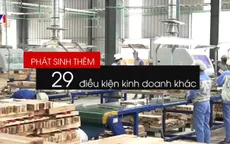 Chỉ 1/3 điều kiện kinh doanh được cắt giảm là thực chất