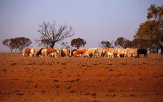 Australia báo động nguy cơ khủng hoảng nguồn nước do hạn hán