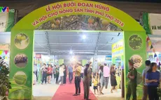 Lần đầu tiên tỉnh Phú Thọ tổ chức Lễ hội bưởi Đoan Hùng