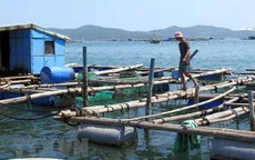 Kéo dài mâu thuẫn do nuôi thủy sản trong khu du lịch quốc gia vịnh Xuân Đài