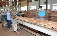 Tạm dừng kinh doanh tạm nhập, tái xuất gỗ tròn, gỗ xẻ từ Lào, Campuchia