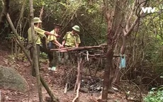 Phát hiện hàng trăm bẫy thú rừng ở Hà Tĩnh