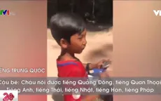 Cậu bé bán hàng rong nói được 12 thứ tiếng gây sốt mạng xã hội