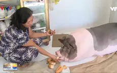 Người phụ nữ chăm heo hơn 100 kg làm thú cưng