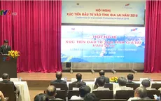 Xúc tiến đầu tư vào tỉnh Gia Lai năm 2018