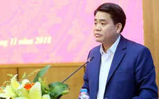 Hà Nội: Sẽ di chuyển cây hoa sữa ở một số tuyến phố