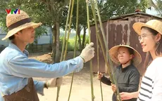 Giải pháp bảo vệ môi trường từ cây tre