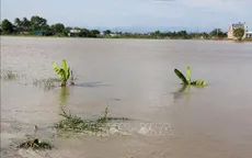 Huyện Bắc Bình, Bình Thuận vẫn ngập nặng do mưa lũ