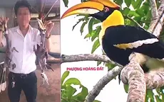 Doanh nhân bị "tố" ăn thịt chim Phượng hoàng đất