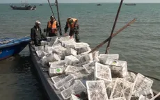 Bắt giữ vụ vận chuyển hơn 2.000 con chim bồ câu nhập lậu