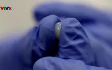 Phát triển loại hydrogel siêu kết dính