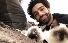 Mohamed Salah chụp ảnh cùng mèo để phản đối dự luật của chính phủ Ai Cập