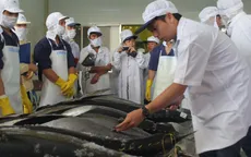 Xuất khẩu cá ngừ khởi sắc dịp cuối năm