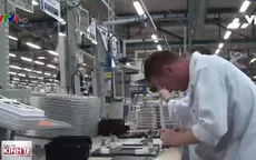 Nhiều doanh nghiệp đưa hoạt động sản xuất trở lại châu Âu
