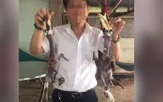 Xác minh vụ "giết thịt" chim trong Sách đỏ