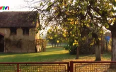Người dân Croatia đổ ra nước ngoài làm việc