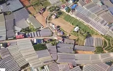 Nhà kính bủa vây Đà Lạt, những thung lũng mộng mơ bỗng hóa thung lũng nhà kính