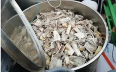 6 người Việt bị bắt giữ tại Nam Phi vì cáo buộc nấu cao hổ, sư tử