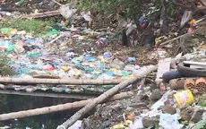 Hồ Linh Quang: Hơn 10 năm chờ từ hồ "chết" thành "phổi xanh"